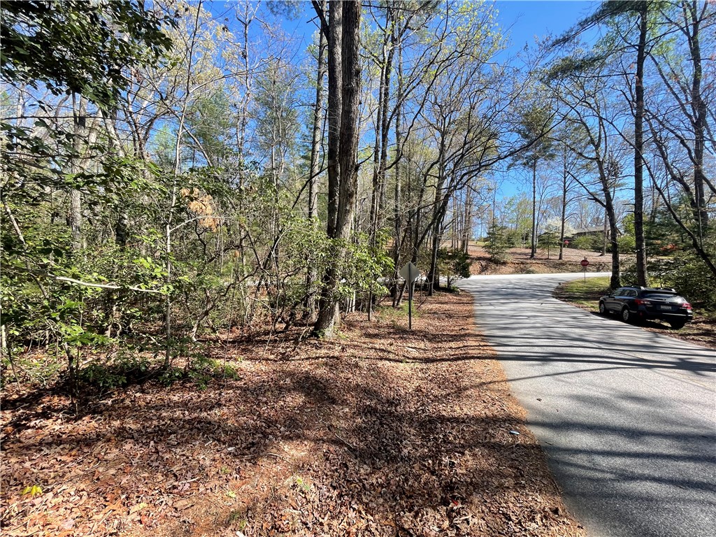 0 Mountain Rest Lake Road Mountain Rest, SC 29664 - Photo 3 of 18