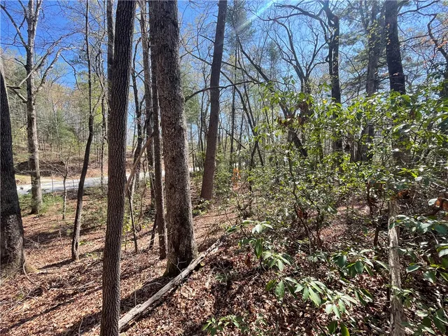 $35,000 | 0 Mountain Rest Lake Road, Mountain Rest, SC 29664