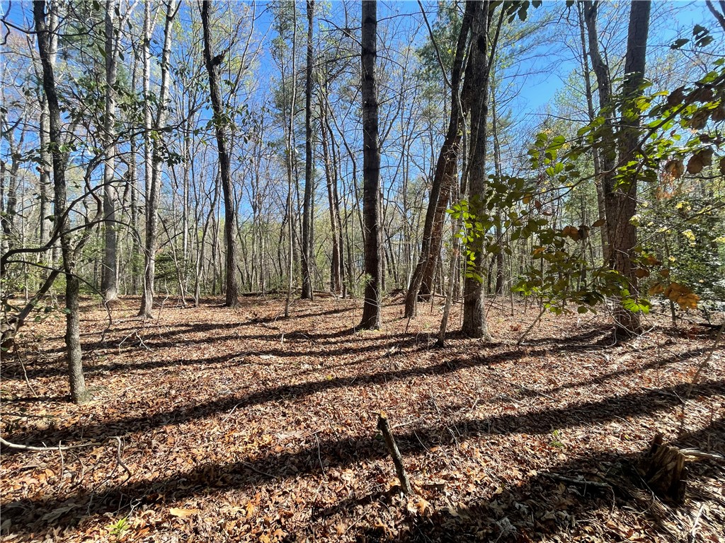 0 Mountain Rest Lake Road Mountain Rest, SC 29664 - Photo 5 of 18