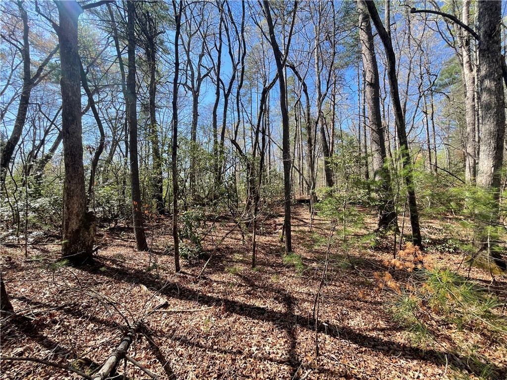 0 Mountain Rest Lake Road Mountain Rest, SC 29664 - Photo 6 of 18