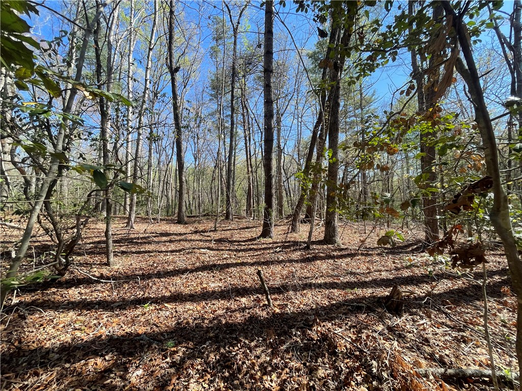 0 Mountain Rest Lake Road Mountain Rest, SC 29664 - Photo 7 of 18