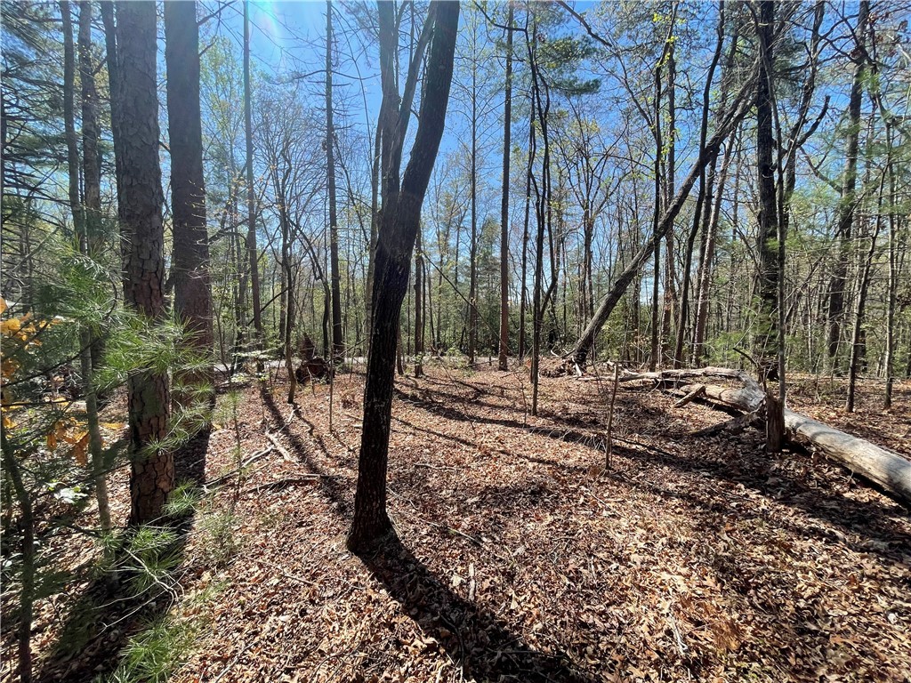 0 Mountain Rest Lake Road Mountain Rest, SC 29664 - Photo 8 of 18