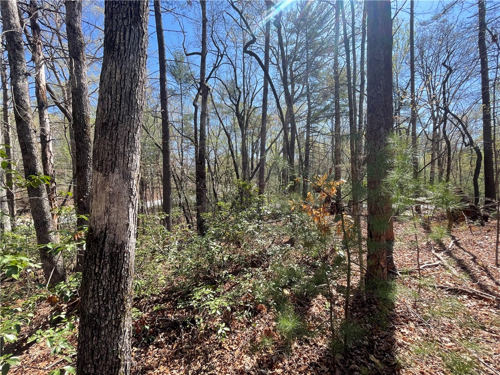 0 Mountain Rest Lake Road Mountain Rest, SC 29664 - Photo 9 of 18