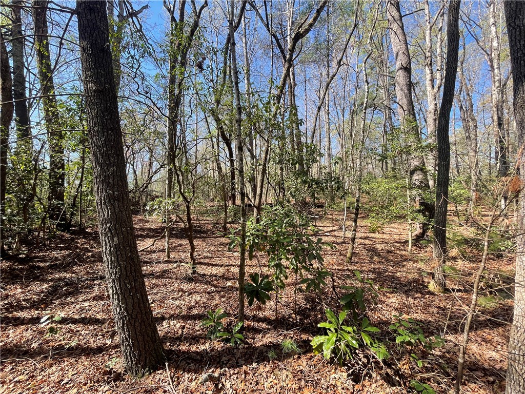 0 Mountain Rest Lake Road Mountain Rest, SC 29664 - Photo 10 of 18
