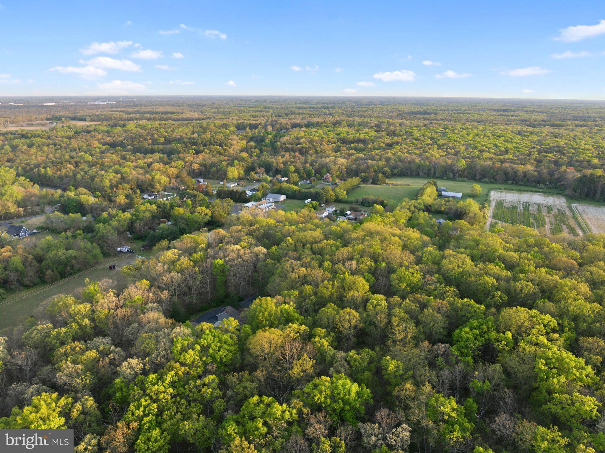 856 Willow Grove Road Pittsgrove, NJ 08318 - Photo 60 of 65
