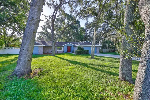a view of house with a big yard