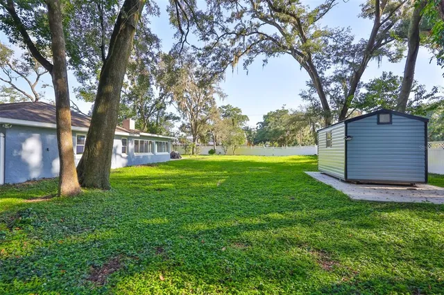 a view of a trees in a yard