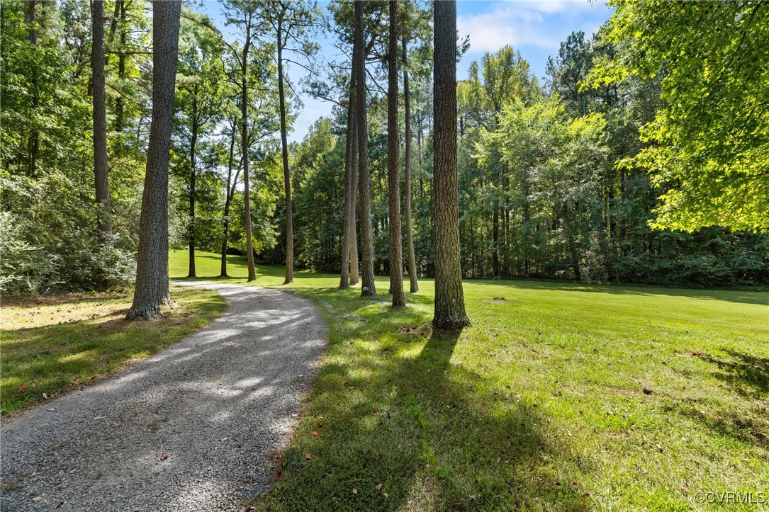 281 Echo Meadows Road Rockville, VA 23146 - Photo 2 of 50 a view of a yard with a tree