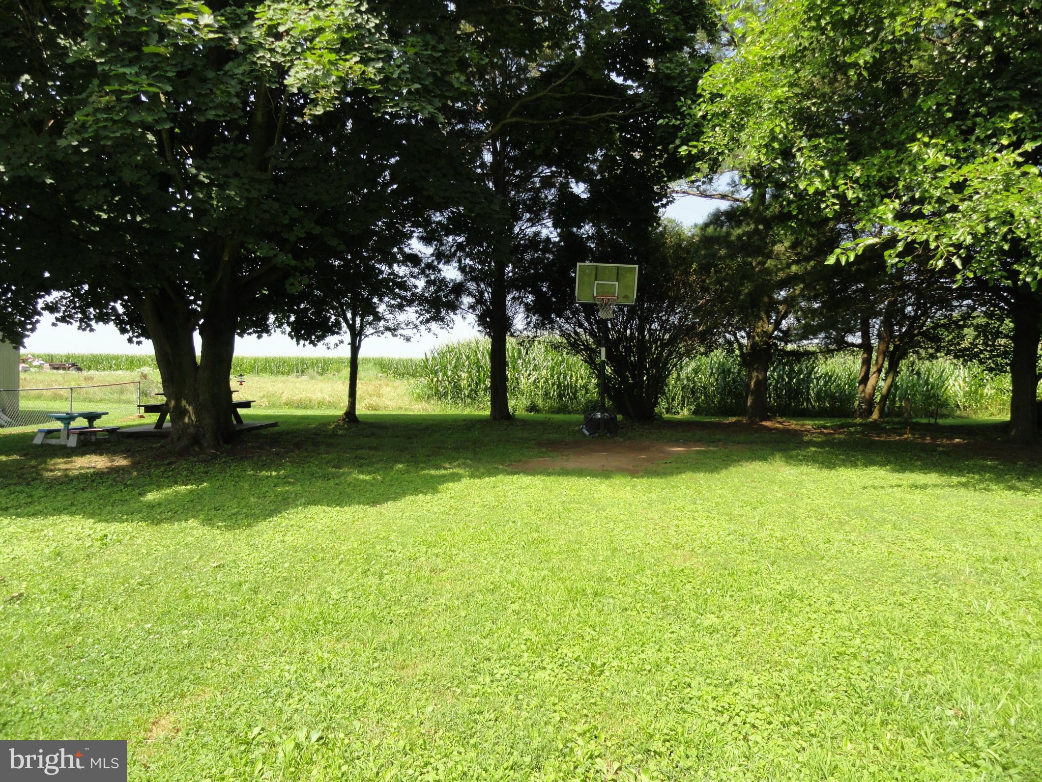 11488 Lynch Road Worton, MD 21678 - Photo 4 of 19 Yard backs up to farmland
