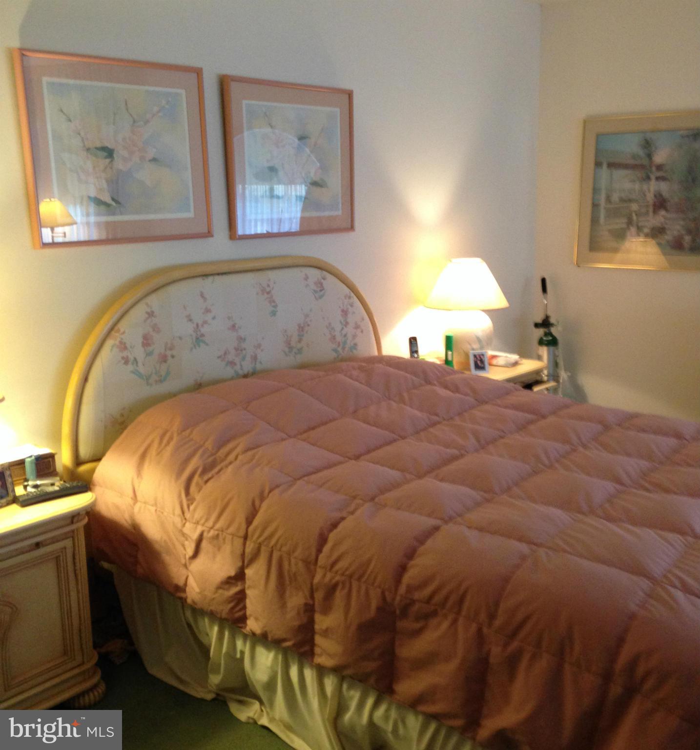 3011 Fallstaff Road, Unit 108A Baltimore, MD 21209 - Photo 11 of 17 Bedroom (Master)