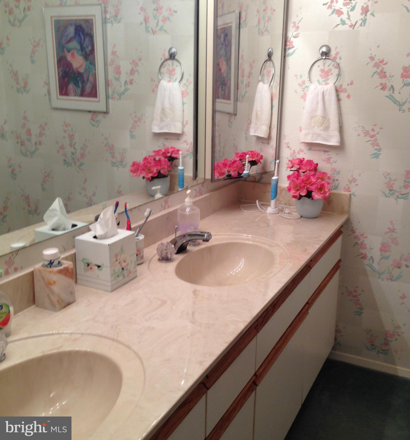 3011 Fallstaff Road, Unit 108A Baltimore, MD 21209 - Photo 13 of 17 Bath (Master)