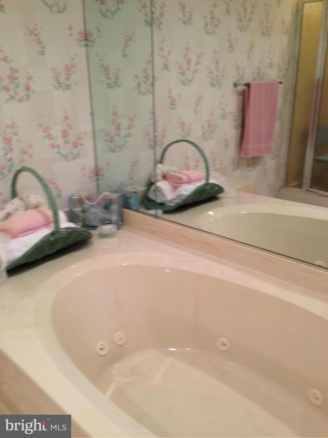 3011 Fallstaff Road, Unit 108A Baltimore, MD 21209 - Photo 14 of 17 Bath (Master)