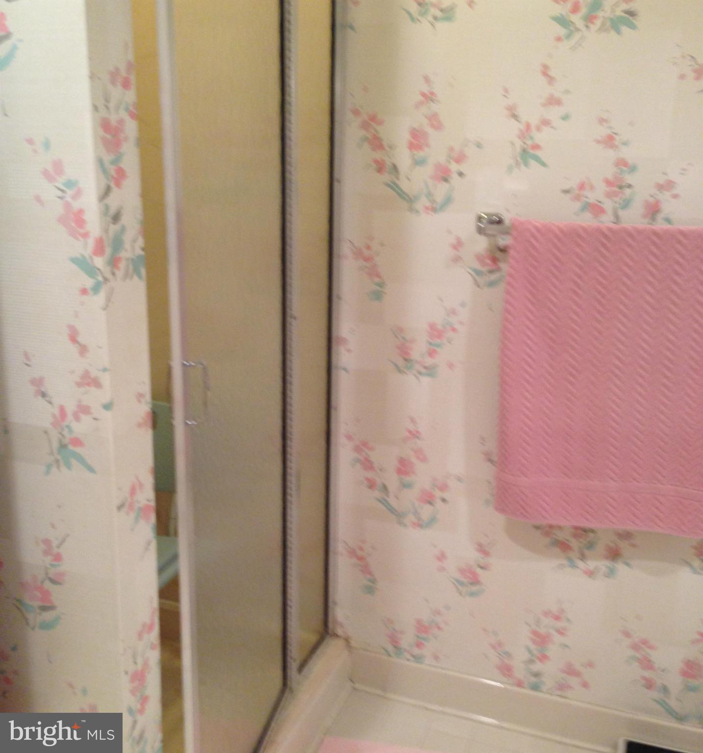 3011 Fallstaff Road, Unit 108A Baltimore, MD 21209 - Photo 15 of 17 Bath (Master)