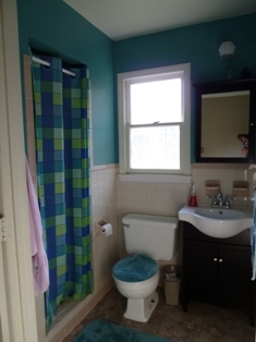 805 Brick Church Road Boones Mill, VA 24065 - Photo 17 of 51 Master Bath