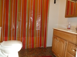 805 Brick Church Road Boones Mill, VA 24065 - Photo 20 of 51 Bath