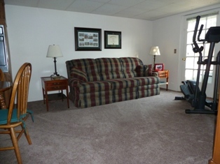 805 Brick Church Road Boones Mill, VA 24065 - Photo 23 of 51 Lower Level Family Room