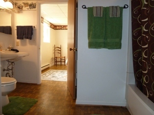 805 Brick Church Road Boones Mill, VA 24065 - Photo 28 of 51 Lower Level Bath