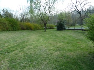 805 Brick Church Road Boones Mill, VA 24065 - Photo 42 of 51 Yard
