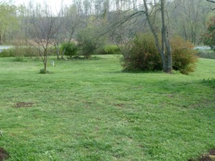 805 Brick Church Road Boones Mill, VA 24065 - Photo 43 of 51 Yard