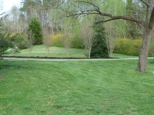 805 Brick Church Road Boones Mill, VA 24065 - Photo 44 of 51 Yard