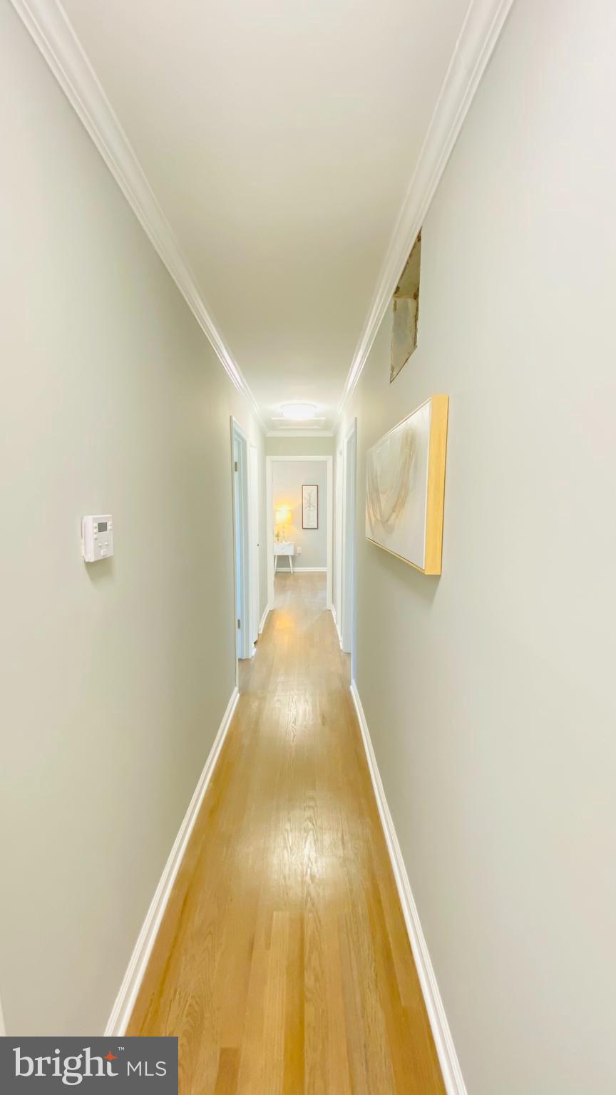 1205 Downs Drive Silver Spring, MD 20904 - Photo 12 of 38