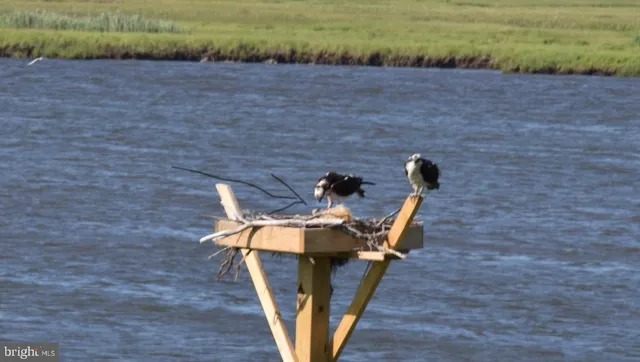 a view of an ocean from a building