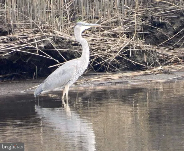 $430,000 | 202 South Creek Drive, West Creek, NJ 08092