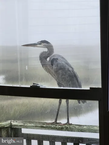 $430,000 | 202 South Creek Drive, West Creek, NJ 08092