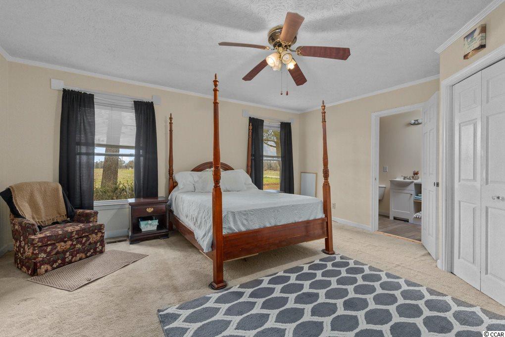 4738 Duford Road Nichols, SC 29581 - Photo 6 of 26 Gallery Image 6