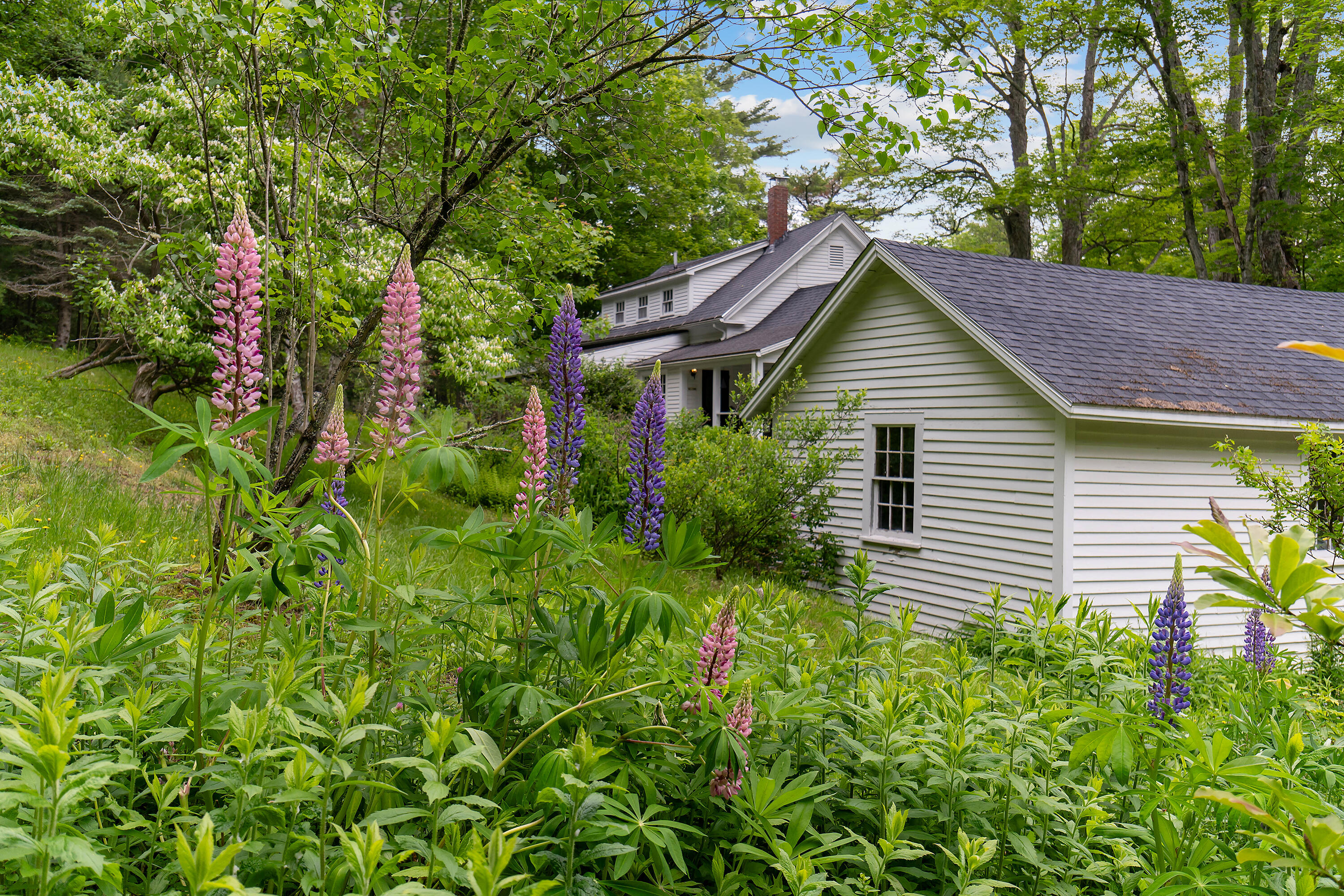 419 River Road Newcastle, ME 04553 - Photo 14 of 72 419 River Rd_155