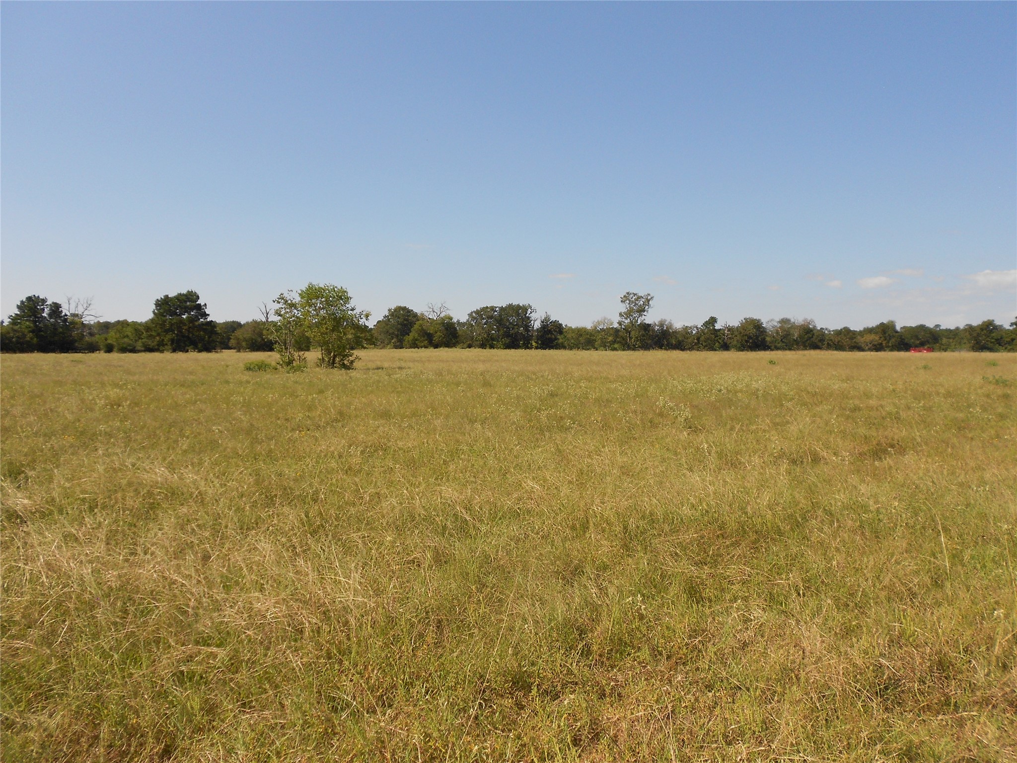 Tbd Turner Street Groveton, TX 75845 - Photo 4 of 10