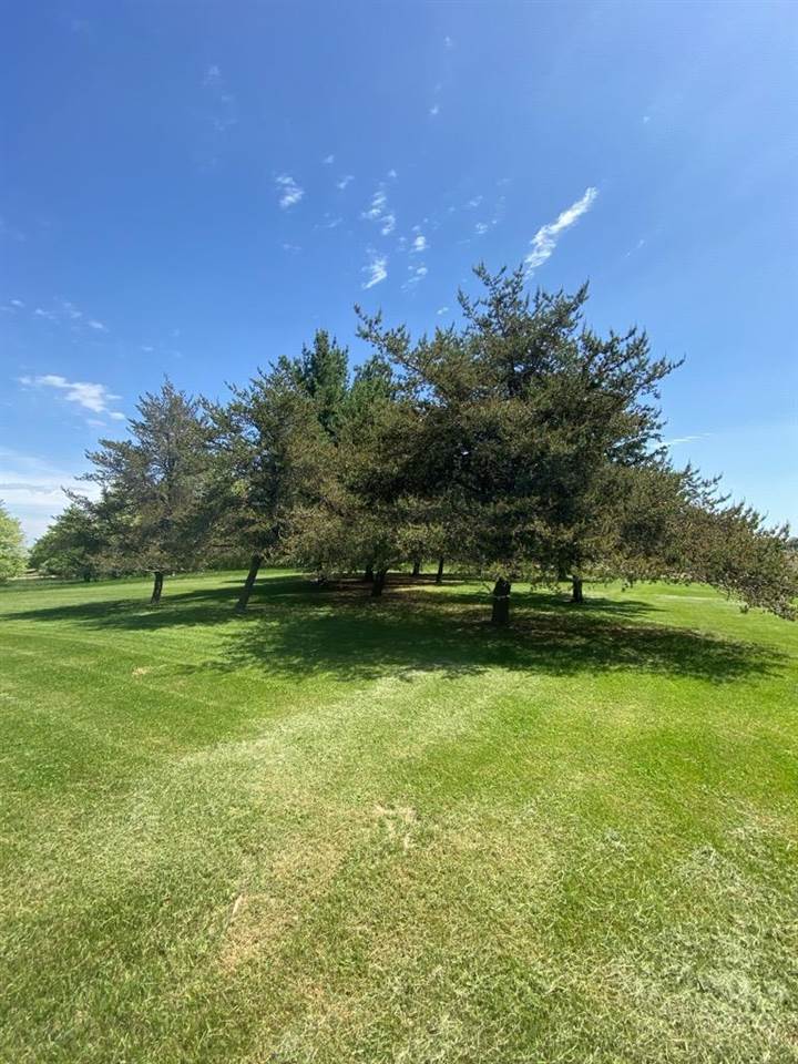 1286 West Roosevelt Road Perrinton, MI 48871 - Photo 14 of 61 50075537-13.JPG