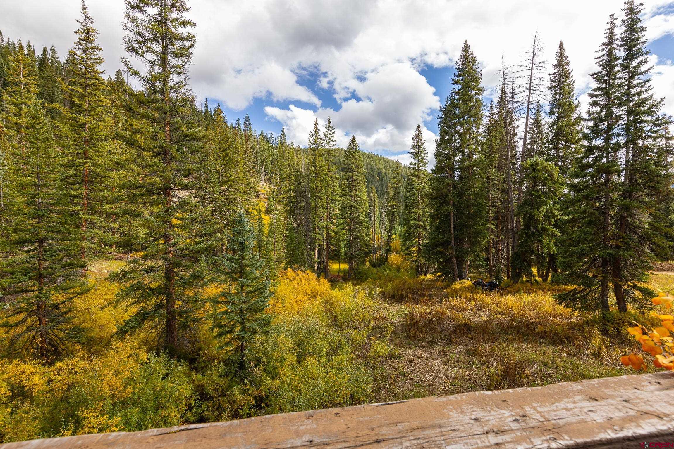 824 County Road Crested Butte, CO 81224 - Photo 12 of 39 a view of a yard covered with snow