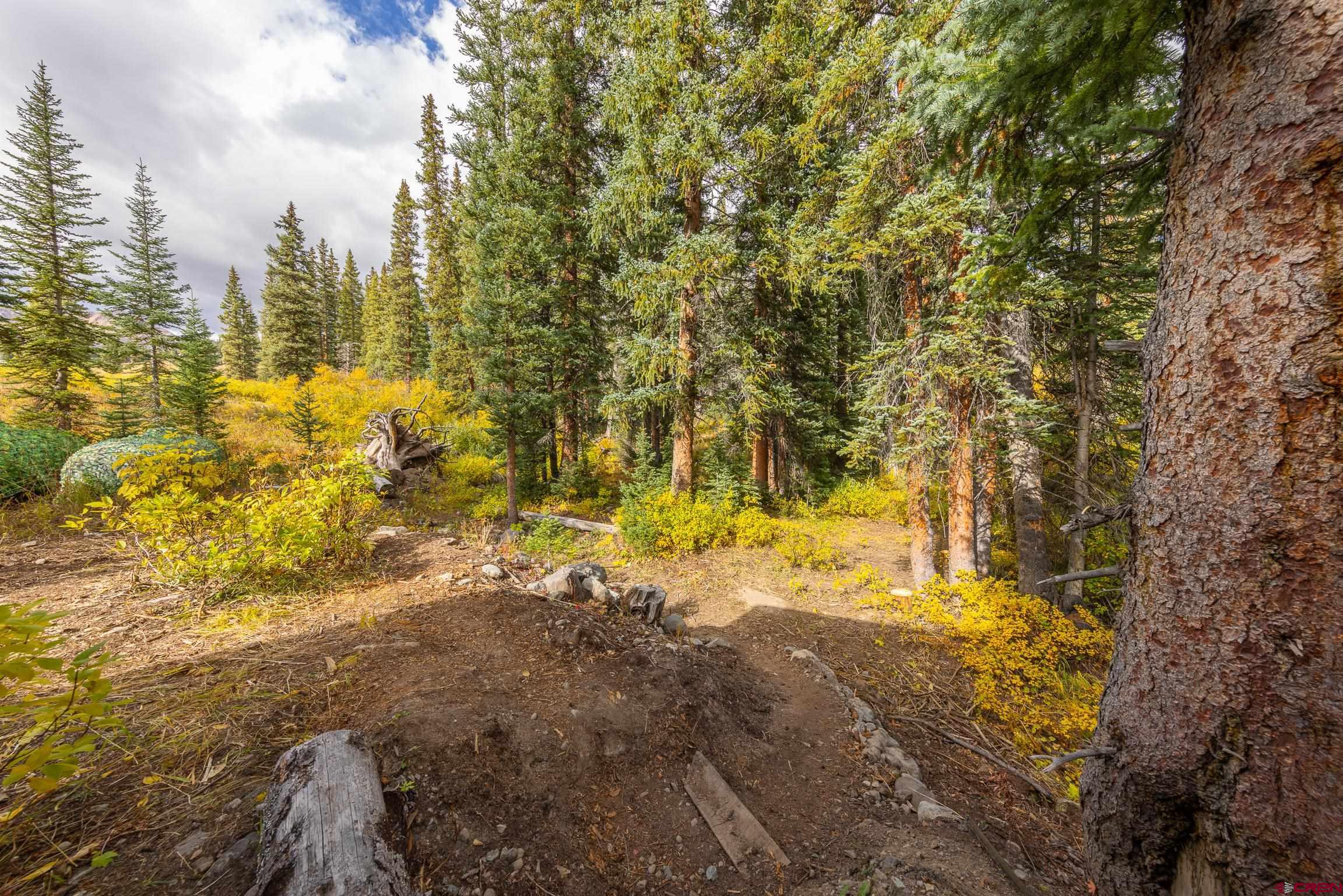 824 County Road Crested Butte, CO 81224 - Photo 20 of 39 a view of yard with large trees