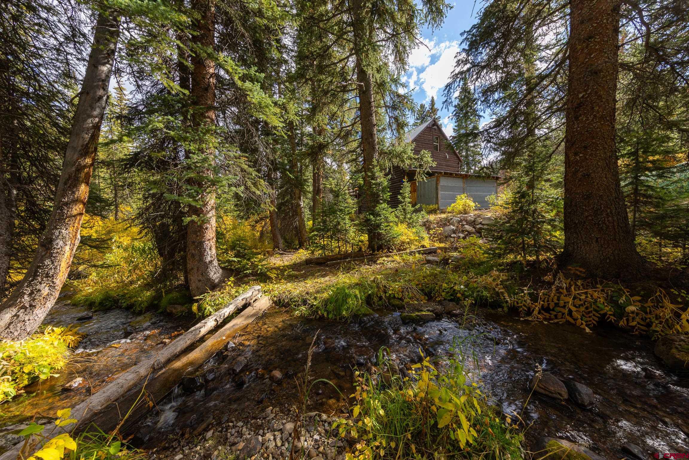 824 County Road Crested Butte, CO 81224 - Photo 2 of 39 a view of a yard with plants and trees