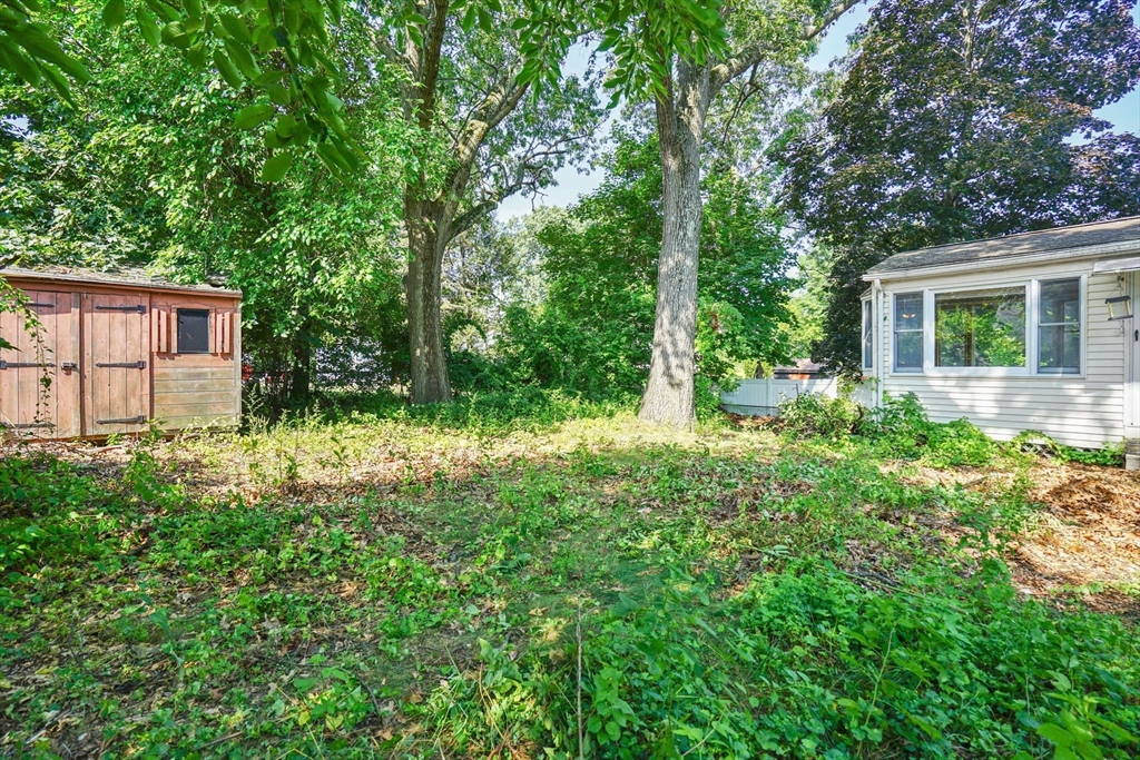 11 West Canton Circle Springfield, MA 01104 - Photo 6 of 36 Gallery Image 6