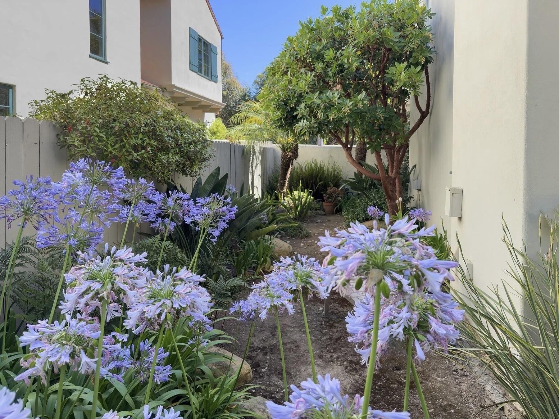 67 Olive Mill Road Santa Barbara, CA 93108 - Photo 27 of 33 Side yard