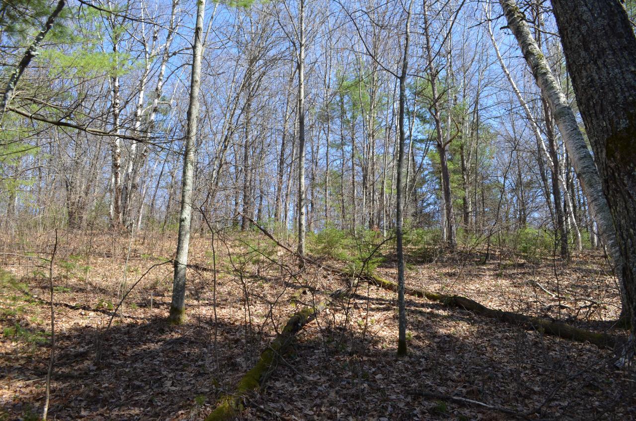 Lot 6 Point O Pines Road Tomahawk, WI 54487 - Photo 22 of 25 Gallery Image 22