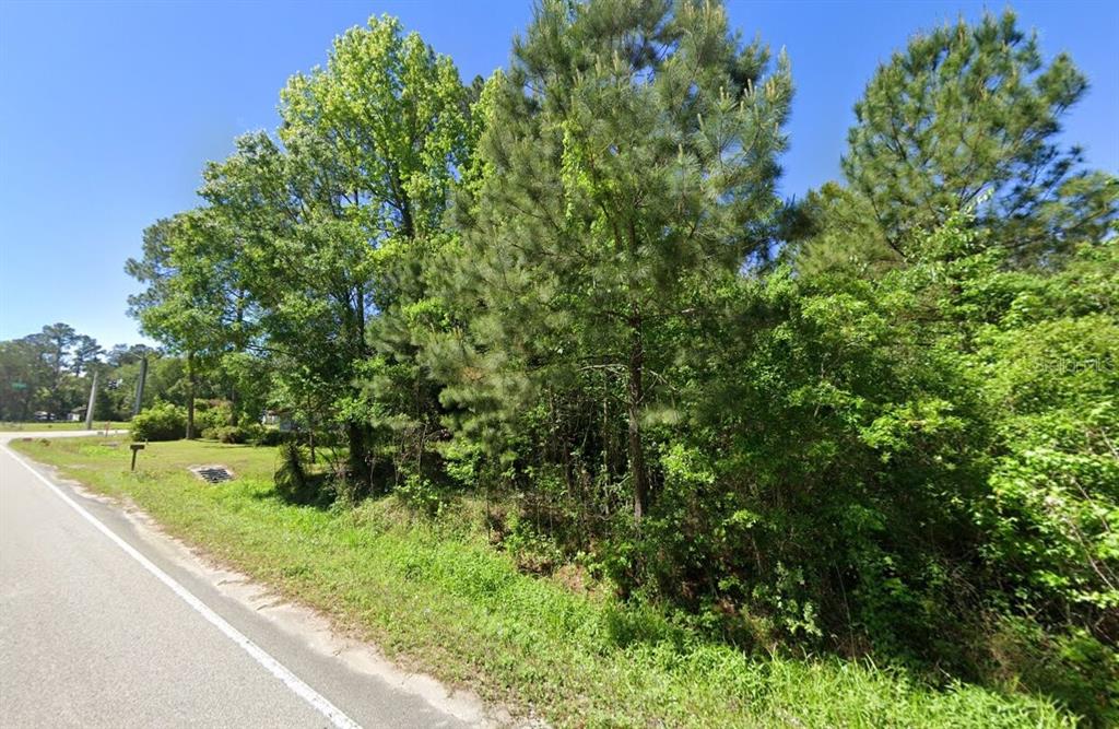 Baxley Road Middleburg, FL 32068 - Photo 4 of 4 a view of a green yard with large trees