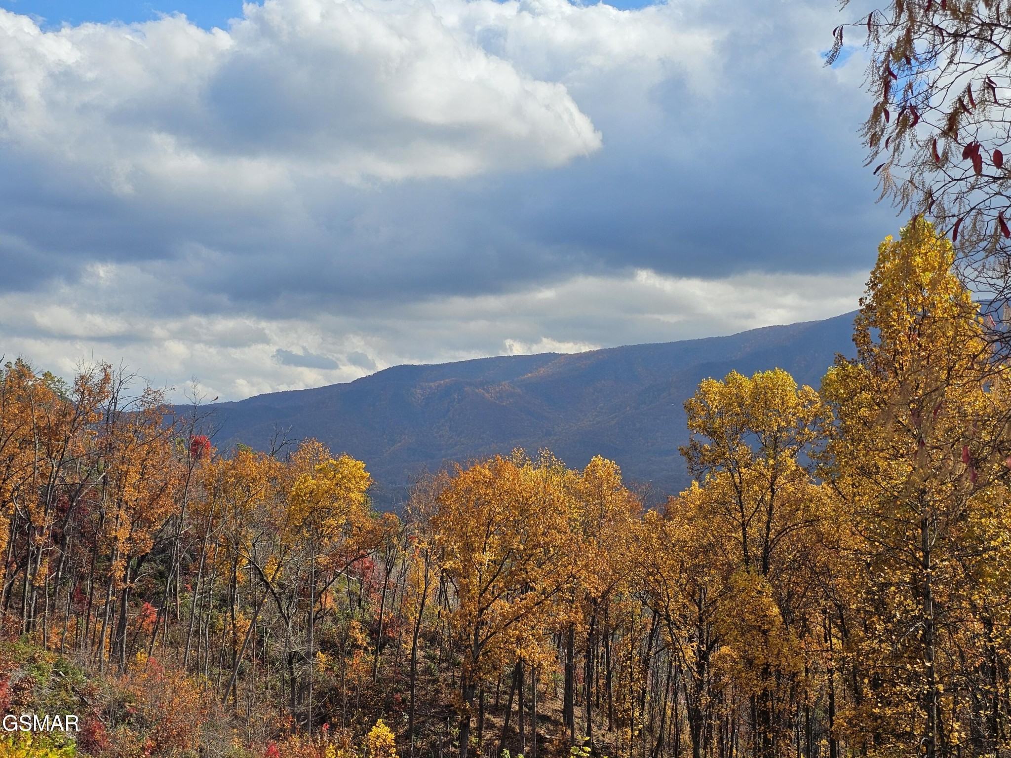 2729 Hatcher Mountain Road Sevierville, TN 37862 - Photo 22 of 53 Gallery Image 22