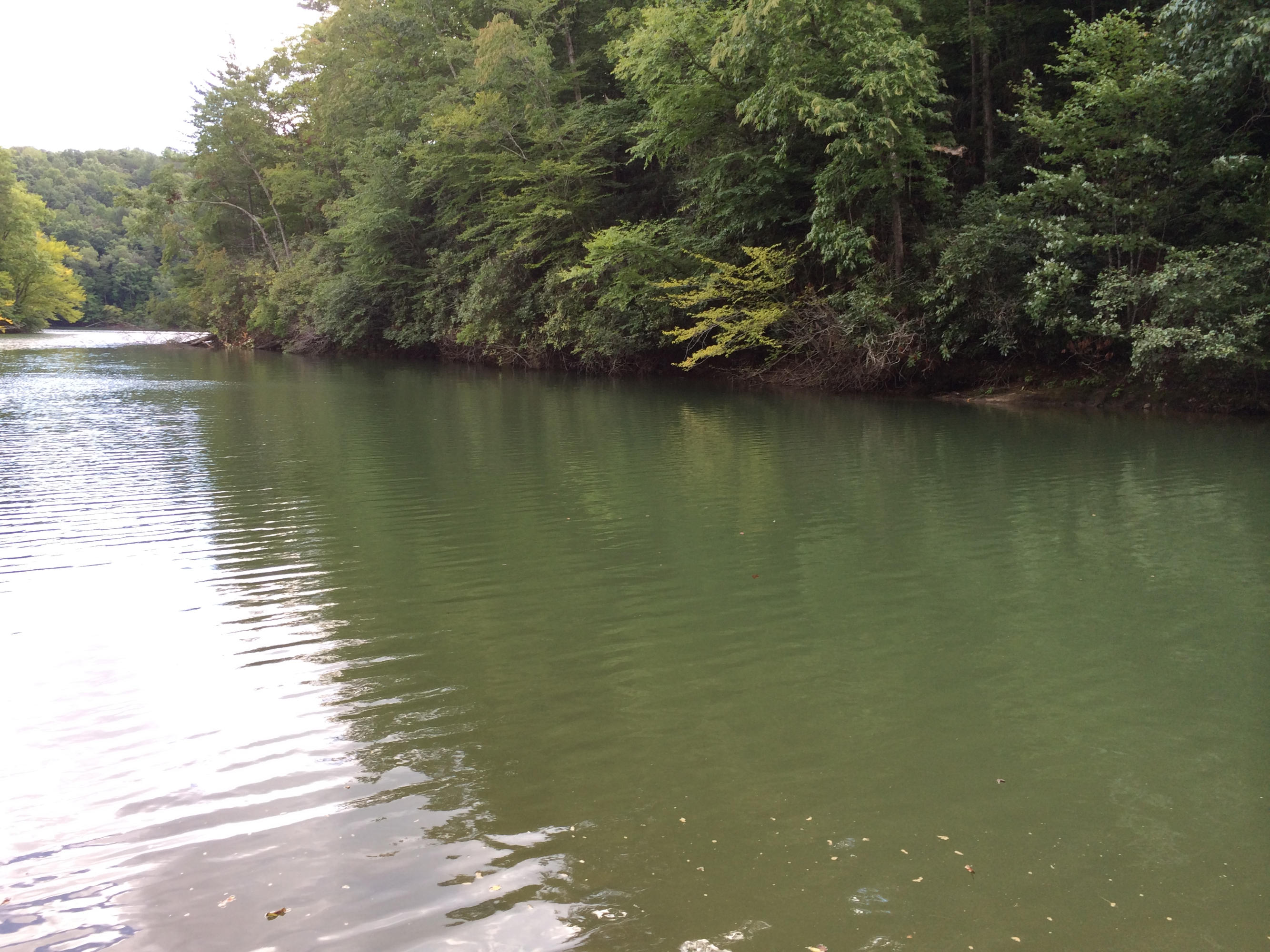 2944 Johnny's Ridge Road Ferrum, VA 24088 - Photo 22 of 22 a view of a lake with houses