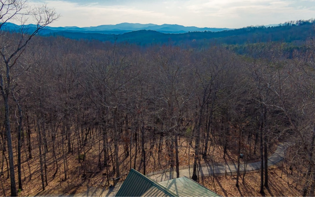346 Heaven Scent Road Morganton, GA 30560 - Photo 42 of 45 Additional View