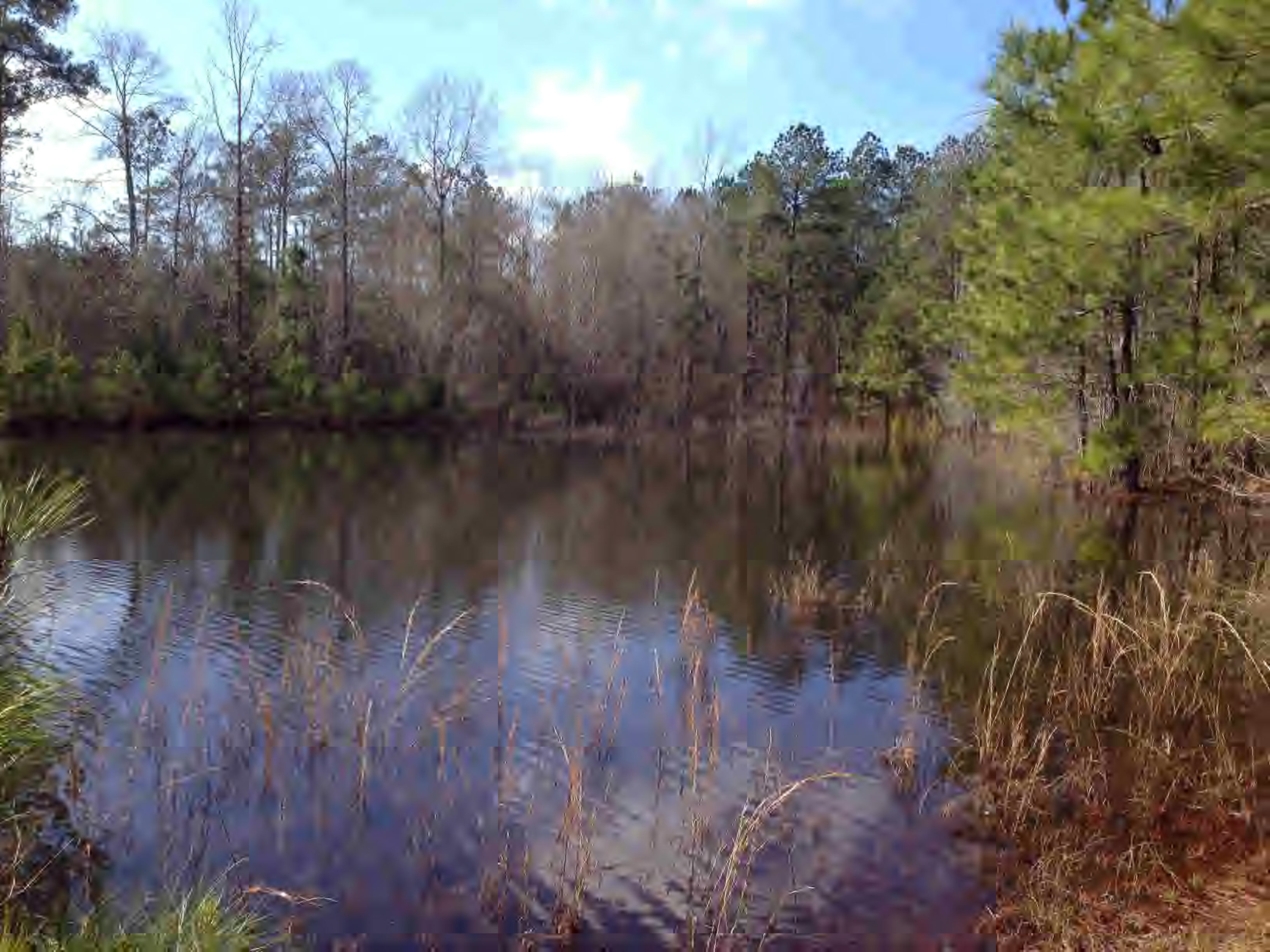 Muddy Springs Road Magnolia, MS 39652 - Photo 1 of 1 Main View