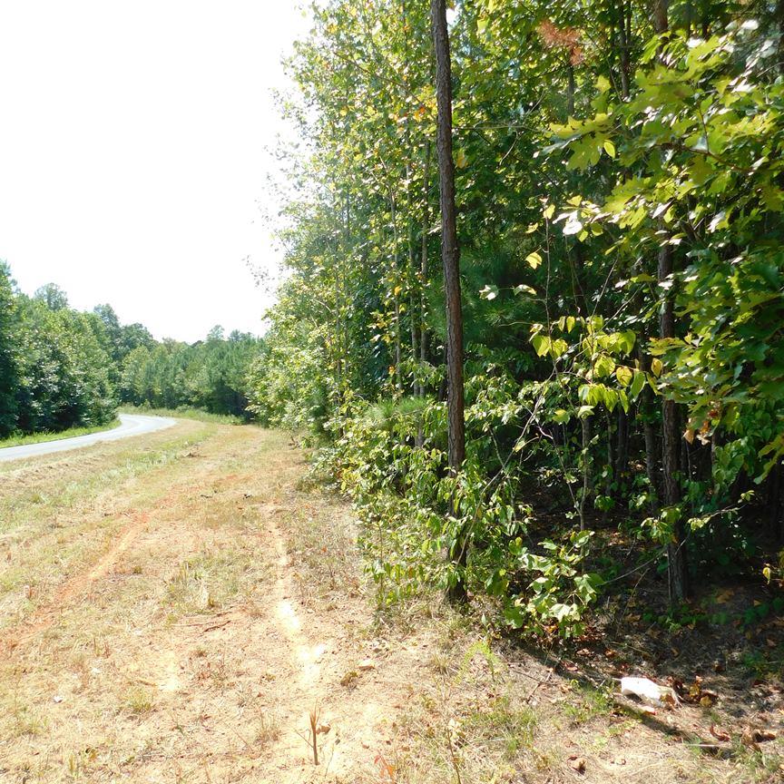 Miller Camp Road, Unit 1B Buckingham, VA 23921 - Photo 1 of 14 Gallery Image 1