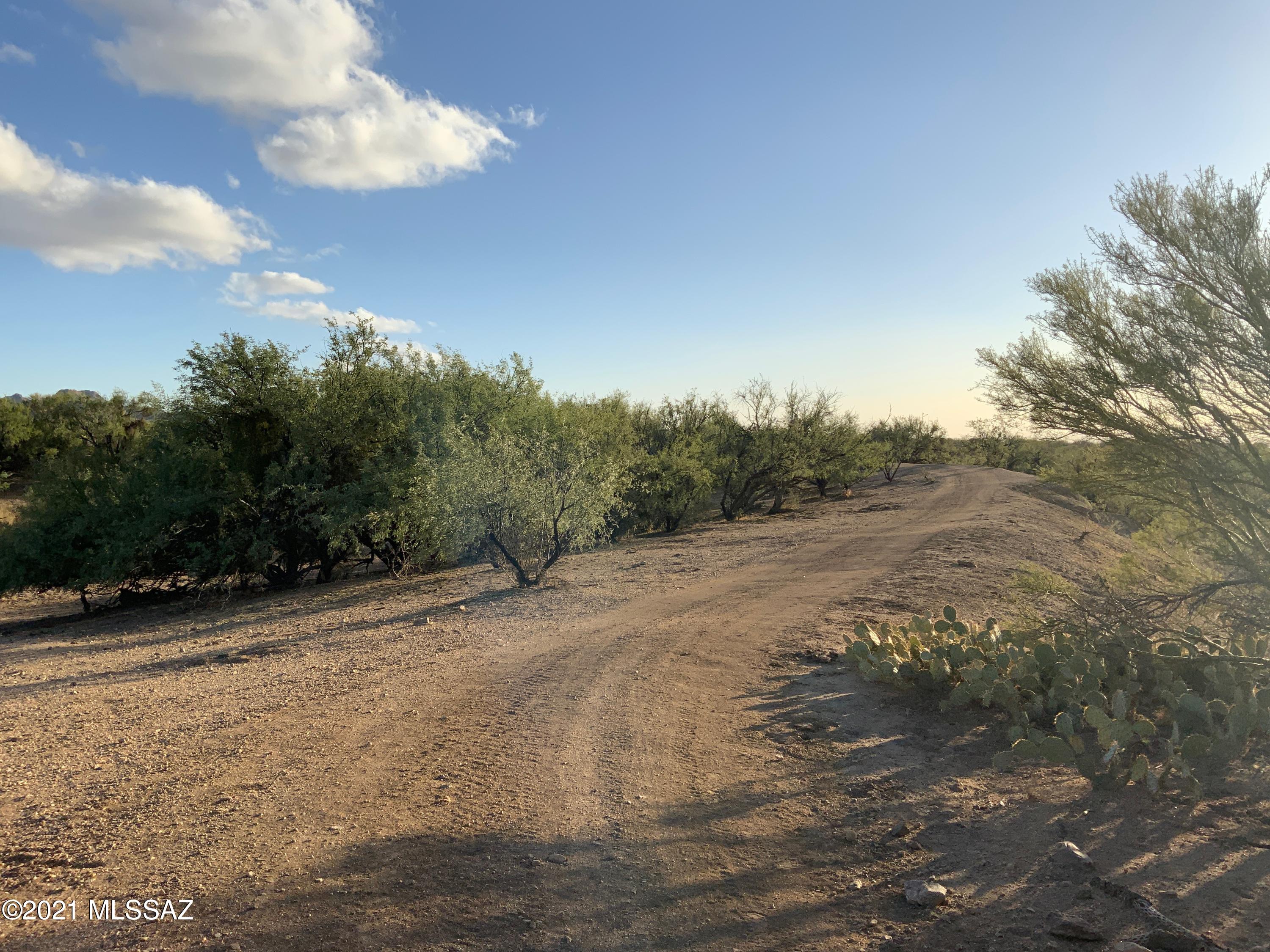 16248 Roundelay Road, Unit 122 Tucson, AZ 85736 - Photo 4 of 10 Gallery Image 4