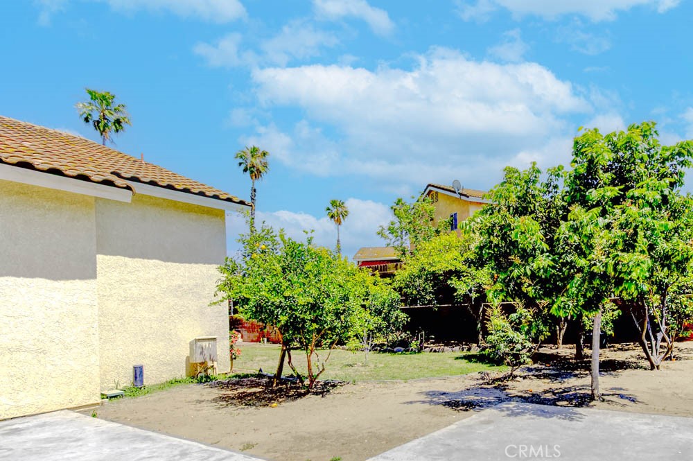 11102 Liverpool Lane Riverside, CA 92503 - Photo 48 of 58 Citrus trees