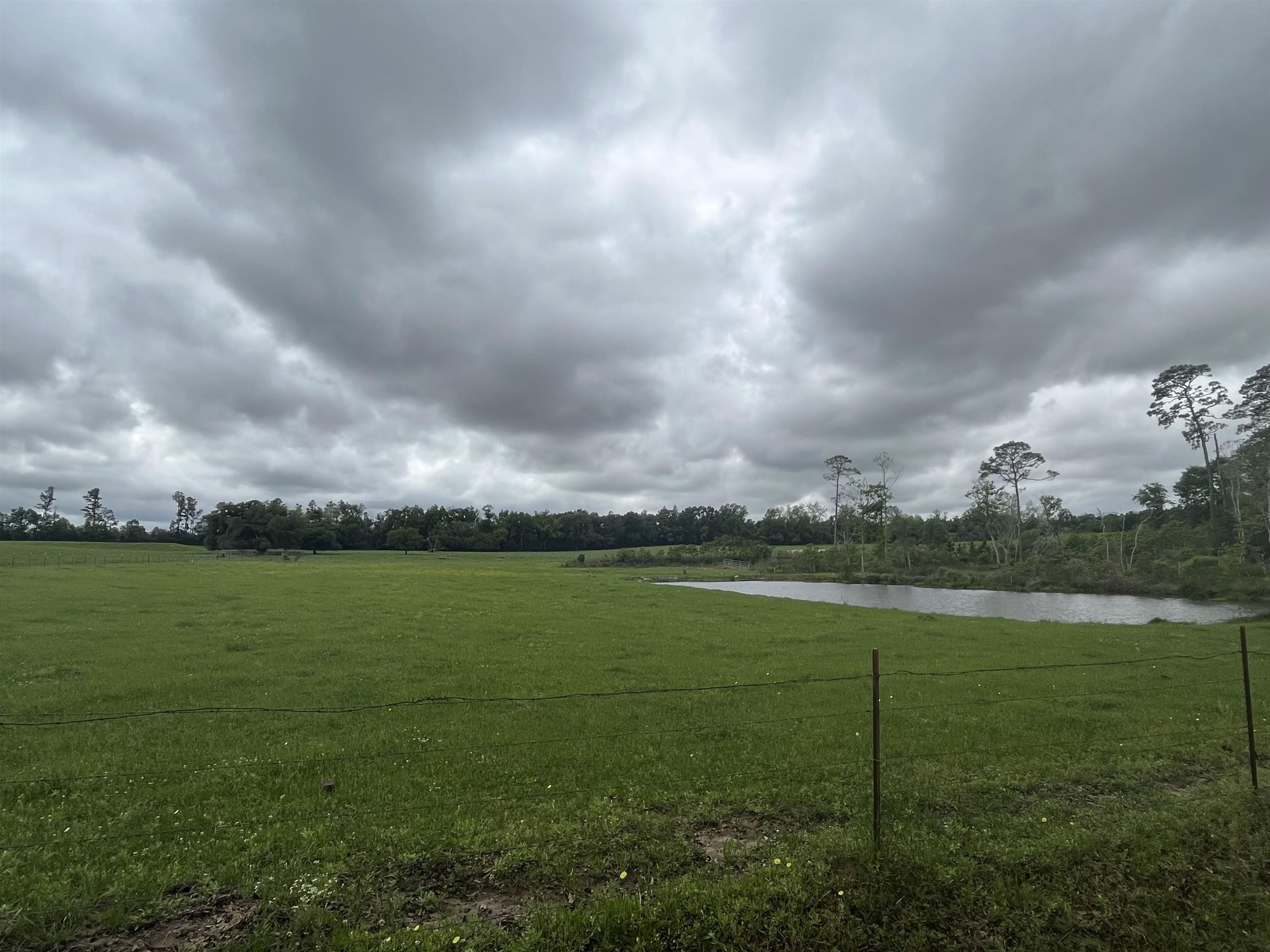 22000 Bengston Road Robertsdale, AL 36567 - Photo 9 of 12