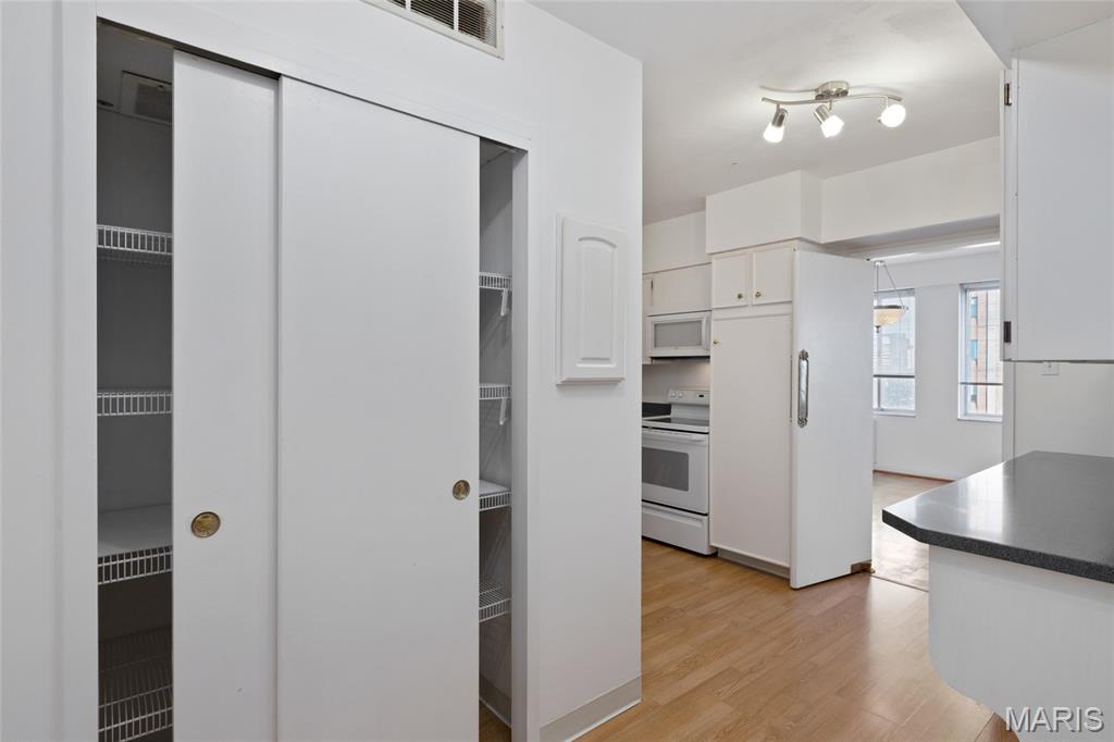 900 South Hanley Road, Unit 11B Clayton, MO 63105 - Photo 12 of 31