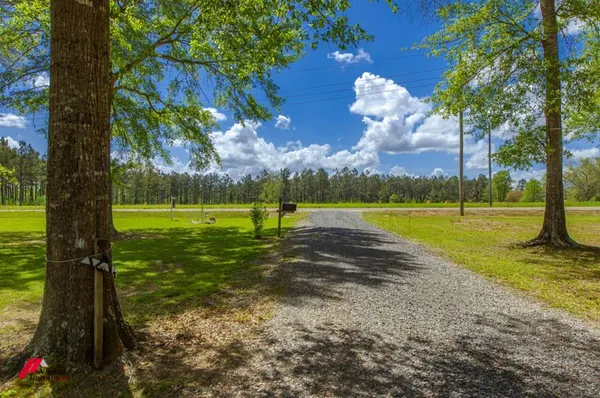 a view of a park