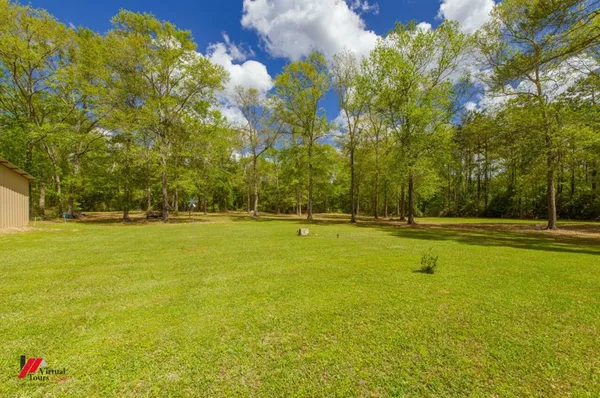 a view of swimming pool with trees